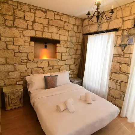 Hotel Mastik Koyici *