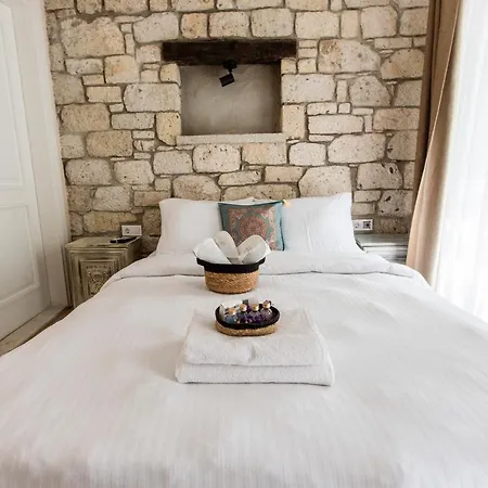 Hotel Mastik Koyici
