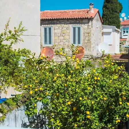 Mastik Koyici ホテル *