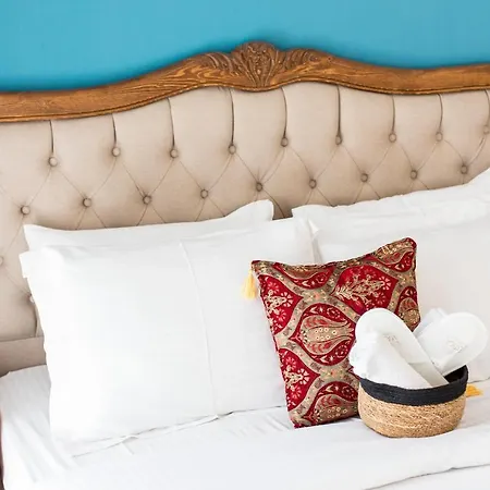 Mastik Koyici ホテル *