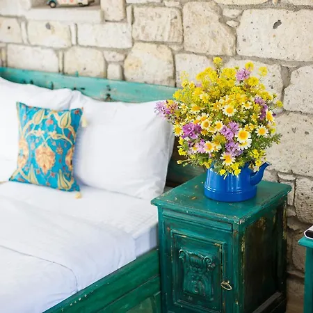 Hotel Mastik Koyici *