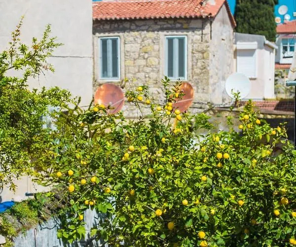 Mastik Köyiçi Otel *