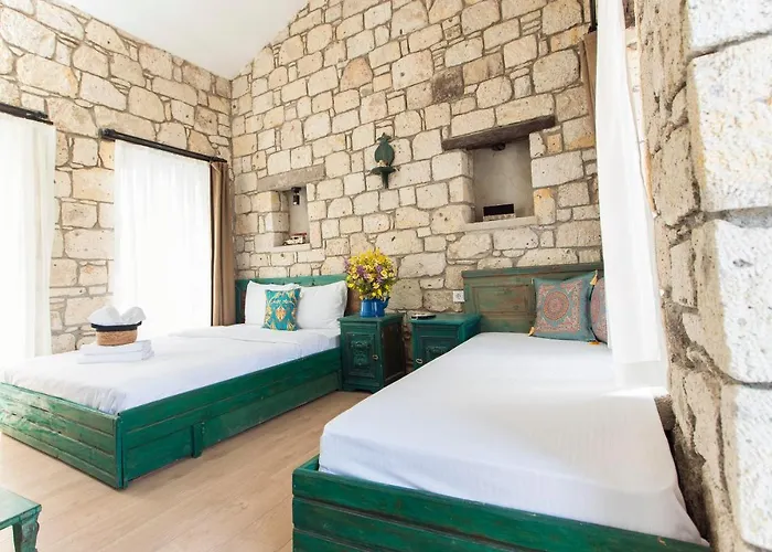 Mastik Köyiçi Otel *